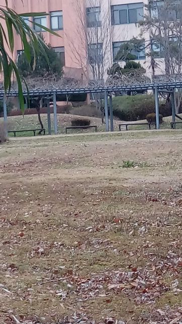 설 전날에 사람들이 무엇때문에 몹시 예민해져 있어요?의 1번 째 이미지