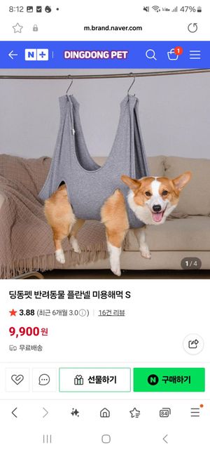 어깨관절아탈구 강아지 미용해먹 사용문의의 1번 째 이미지