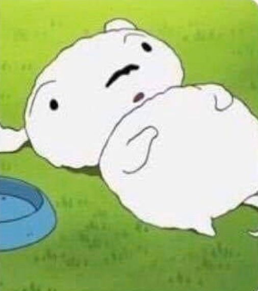 흰둥이 이 모습 어떤 에피소드에서 나온건지 알고싶습니다.의 0번 째 이미지