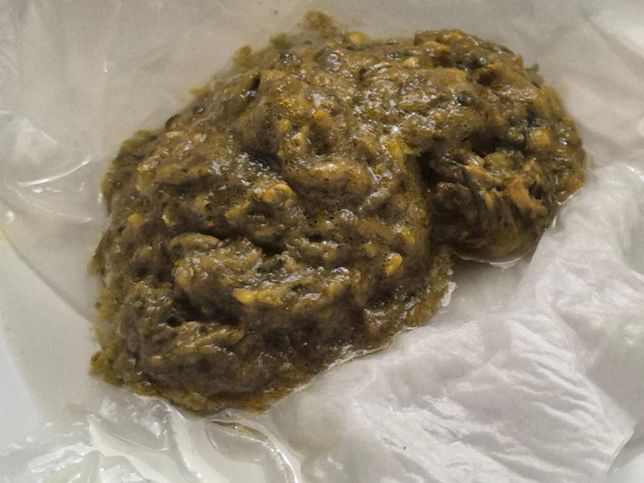 제가 본 변 상태에 대해 봐주세요(사진주의)의 0번 째 이미지