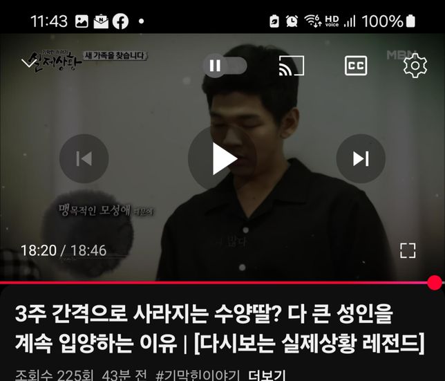 입양 받은 사람도 구속 되는 경우가 어떤 경우인가요?의 1번 째 이미지