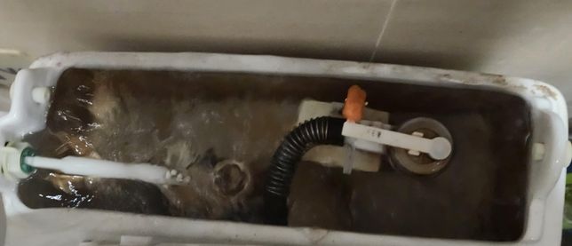 변기에서 물내릴시 계속 물새는 문제 .의 0번 째 이미지