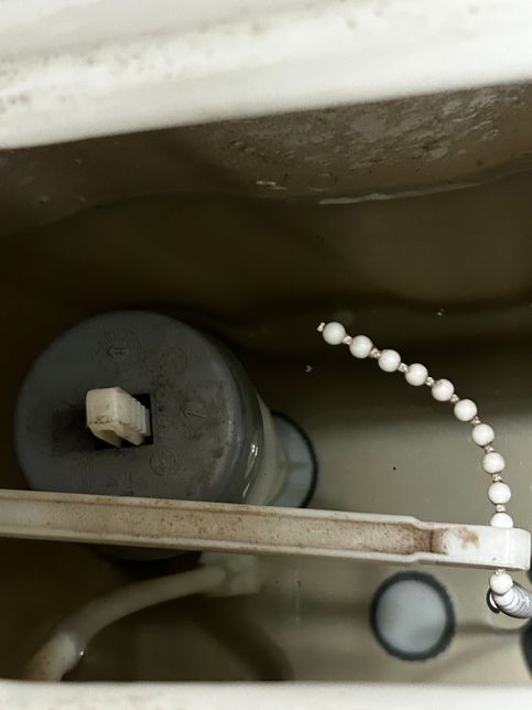 자취 2년차 변기 이렇게 된거 어디에 수리 맡겨야 하나용의 0번 째 이미지