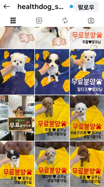 입양비,분양비.책임비,멤버십비 명목을 다르게 해놓고 분양비는 무료라는데???의 1번 째 이미지