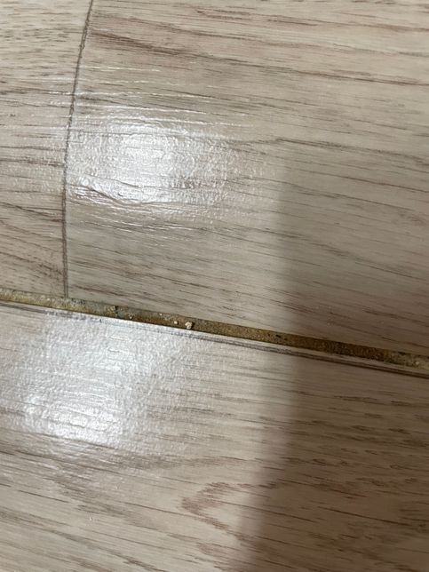 집 바닥 장판이 점점 벌어지는 데 집주인한테 말해야하나요?의 0번 째 이미지