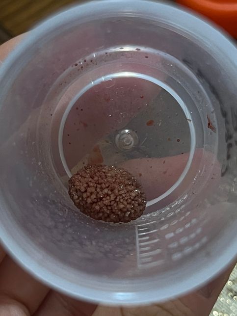 강아지 방광결석 대충 어떤 종류인 거 같나요?의 2번 째 이미지