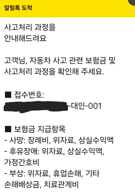 대인접수를 받았는데 이건 상대가 책임보험 가입만 한건가요??의 0번 째 이미지