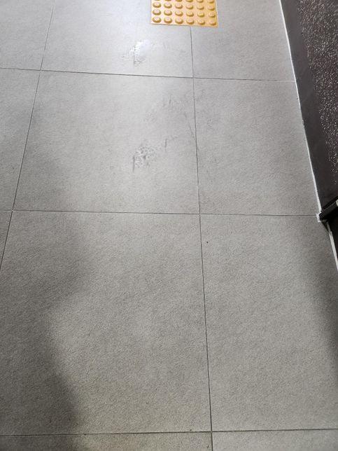 아파트 공용복도 청소 빚자루질 쓸고 닦는데 사진첨부 하겠습니다.의 1번 째 이미지