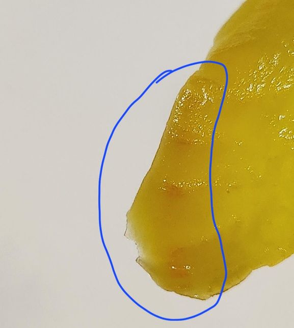 단무지 끝부분이 색이 다른데 왜그럴까요?의 2번 째 이미지