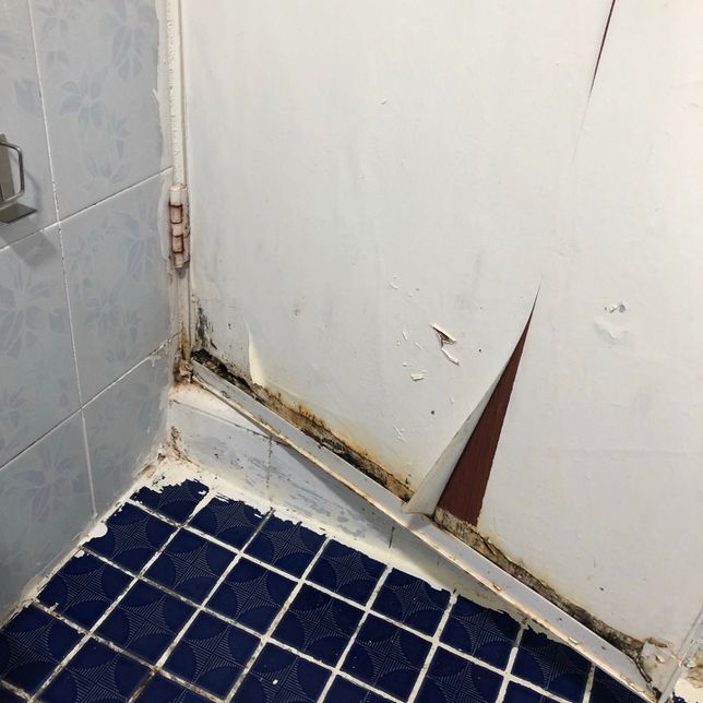 5년차 월세집 화장실 문이 부식되었습니다ㅠ의 0번 째 이미지