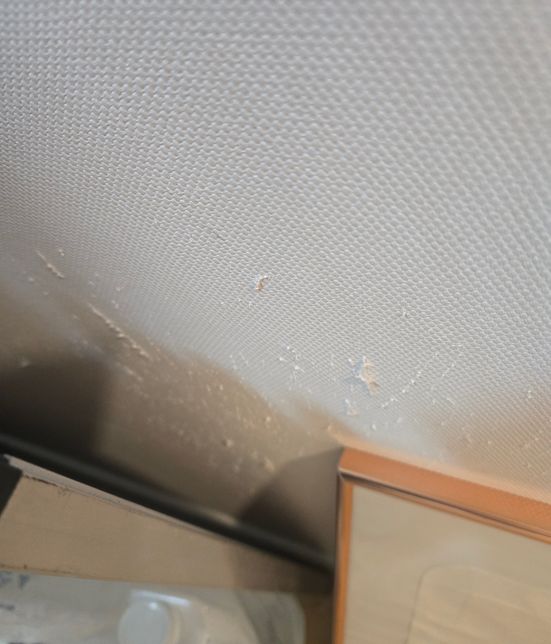 고양이들이 벽지를 뜯어서 새로 하는게 젛을지 부분 적으로 가능 할지 궁굼합니다의 3번 째 이미지