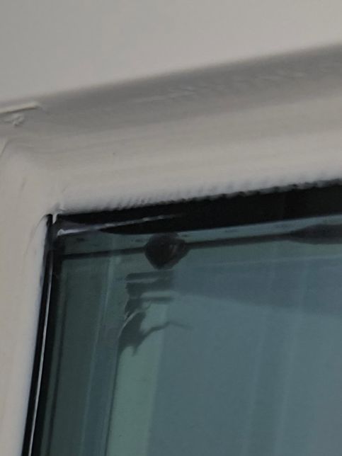 창틀과유리사이에까만액체가있습니다의 0번 째 이미지