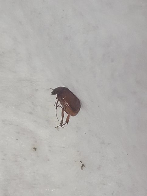 바퀴 새끼인가요?????????의 0번 째 이미지