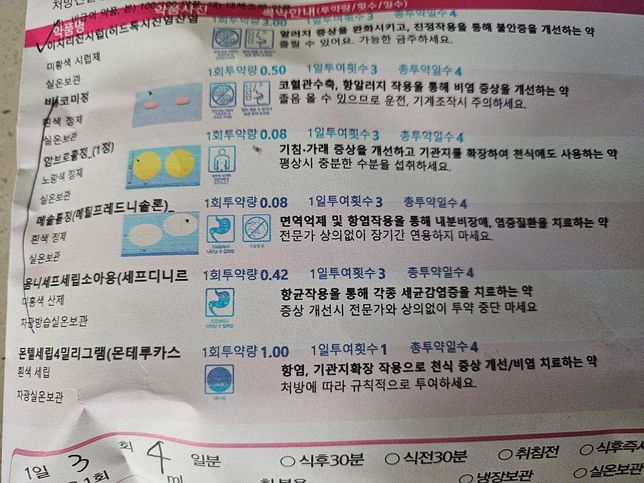 항생제.먹일때 비오플도 같이 먹여도 되나요?의 0번 째 이미지