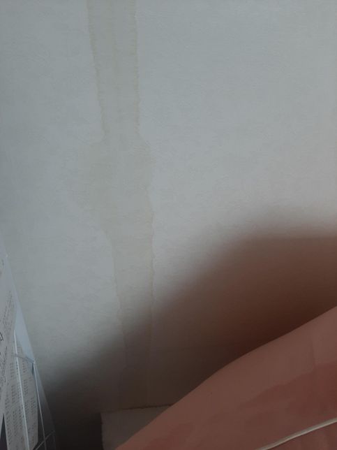 에어컨에서 물이 나왓던데요. 벽지가 다 엉망이 되었어요 도대체 뭔가요??의 1번 째 이미지