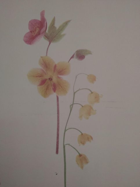 이 그림 속에서 정면을 향한 아름다운 꽃은 어떤 식물인가요?의 1번 째 이미지