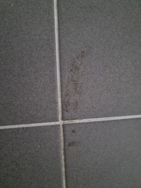 바닥에 묻은건데 대체 어떻게 닦나요?의 0번 째 이미지