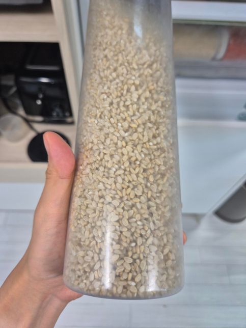 7분도 쌀 씻을 때 쌀뜨물 색이 살짝 검색입니다.의 2번 째 이미지