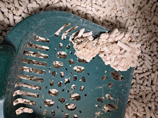 고양이 두부모래에 핑크색 얼룩이 있는데 괜찮은가요?의 0번 째 이미지