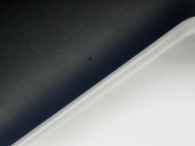 요즘따라 이벌레가 너무 많아요 ㅠㅠㅠㅠ의 0번 째 이미지