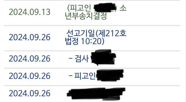 형사재판사건 조회해보니 소년부송치?의 0번 째 이미지
