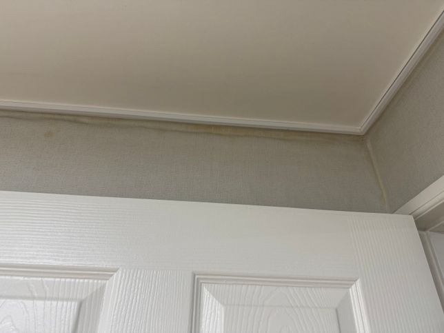 사진으로만 보기엔 힘들겠지만 97년대 아파트 탑층 결로일까요 천장누수 일까요?의 3번 째 이미지