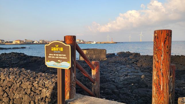 제주도 용천수가 나온곳이 있다는데요.의 0번 째 이미지