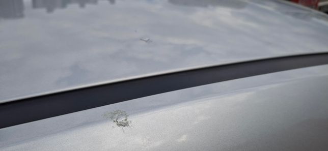 차에 찐득한 이게 뭘까요? 어떻게 지우죠의 0번 째 이미지