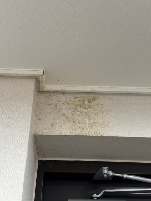 벽에 이런 게 생겼는데 이게 뭐죠? 어떻게 제거하죠?의 1번 째 이미지