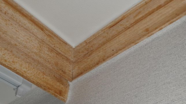 천정 몰딩의 누런 얼룩, 담뱃진일까요? 도배풀일까요?의 2번 째 이미지