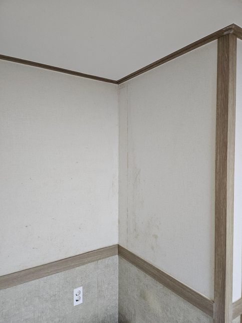 임대차계약 만료 벽지 곰팡이 원상복구 비용에 관해서의 2번 째 이미지