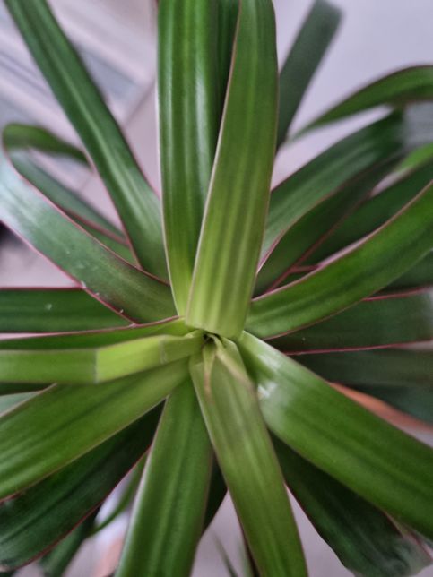 마지나타 좀 봐주세요~~~~~~~의 0번 째 이미지