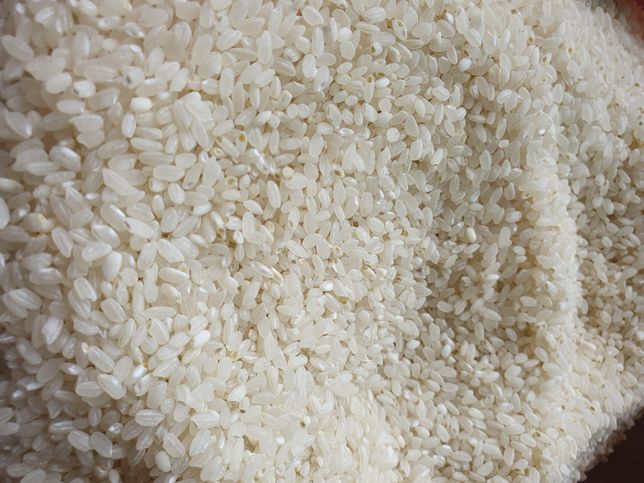 쌀 상태좀 봐주세요 상한걸까요 ㅜㅜㅜ의 0번 째 이미지