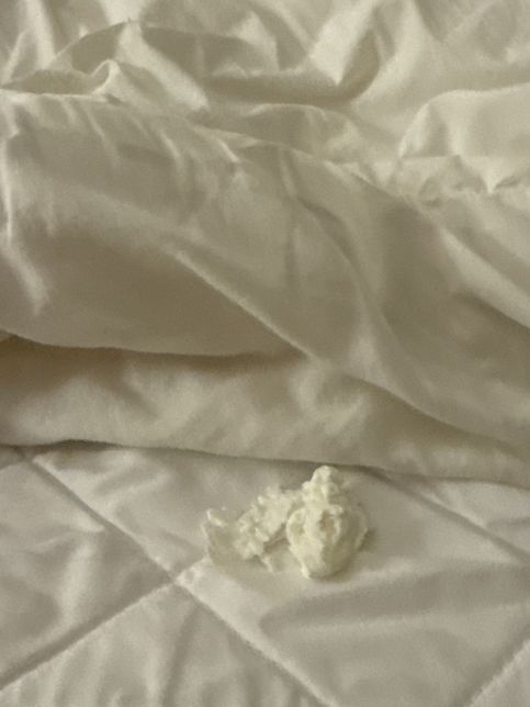 코인세탁소 이용후 이불을 펼쳤는데 이런게 나왔어요.. 대체 뭔가요?의 0번 째 이미지