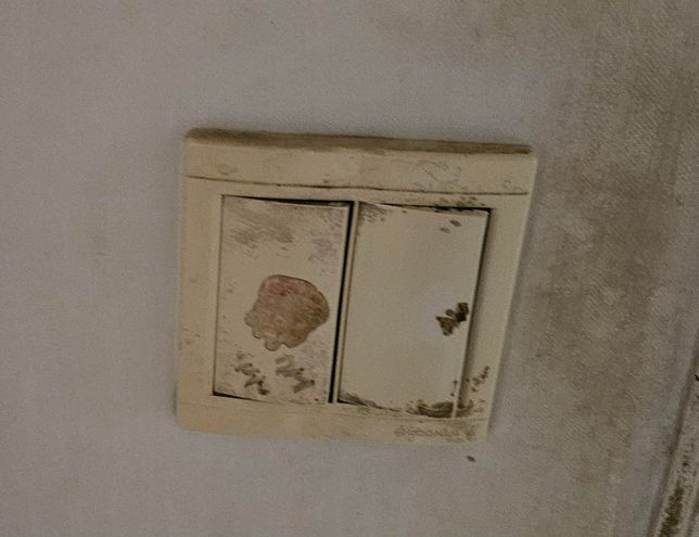 2구 스위치 바꾸려고 하는데 크기 질문의 0번 째 이미지