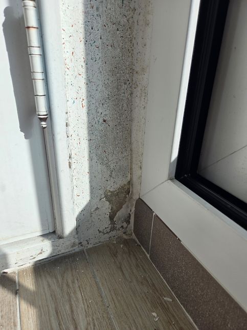 베란다쪽 페인트 벗겨짐 결로일까요? 누수일까요?의 0번 째 이미지