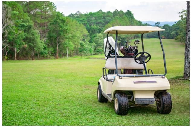 전동카트로 인한 공원직원 갑질 및 사고시 민형사 책임 문의 드립니다.의 1번 째 이미지