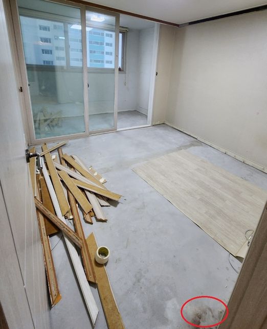 장판을 깔기전에 방 바닥에 생겨져 있는 곰팡이와 얼룩은 제거가 가능한가요?의 1번 째 이미지