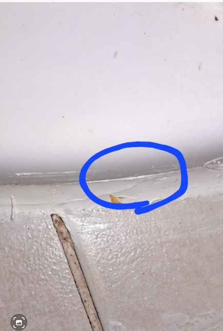 실리콘을 새로 발라야하는지 좀 봐주세요의 0번 째 이미지