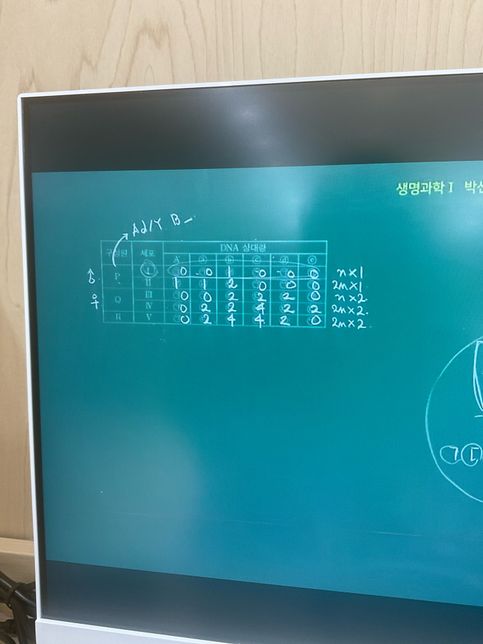 생명과학 dna상대량 n 2n 복제 구하기의 0번 째 이미지