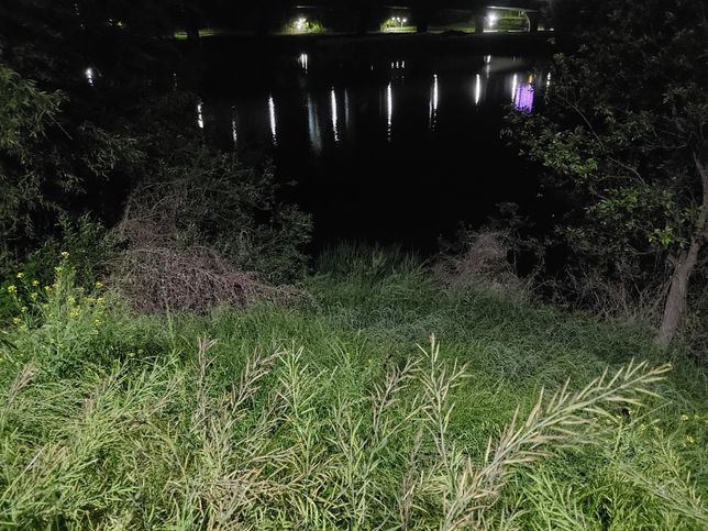 범죄자들은 왜 발달장애인을 이용해 나쁜 행동을 저지를까요?의 0번 째 이미지