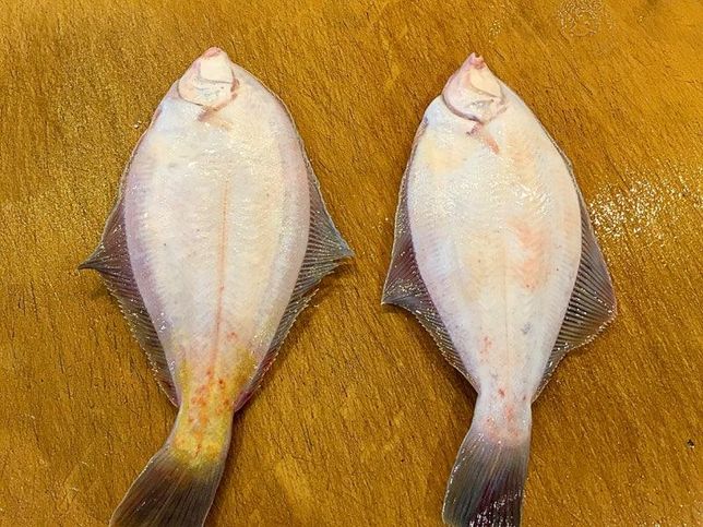 옛날에 화학방부제가 없었던 시대에 음식이나 물건을 보존했을 때는 왜 소금을 사용했나요?의 2번 째 이미지