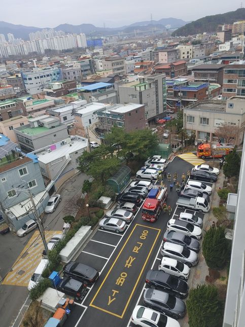 촉법소년 형량을 낮추면 어려서부터 나쁜 행동을 고칠 수 있나요?의 2번 째 이미지