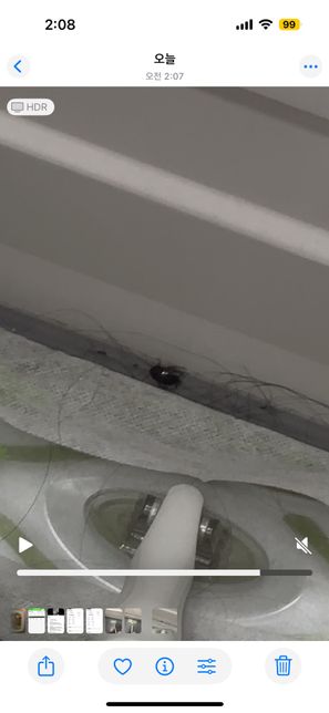 이거 도대체 무슨 벌레인가요? ㅠㅠㅠ의 0번 째 이미지