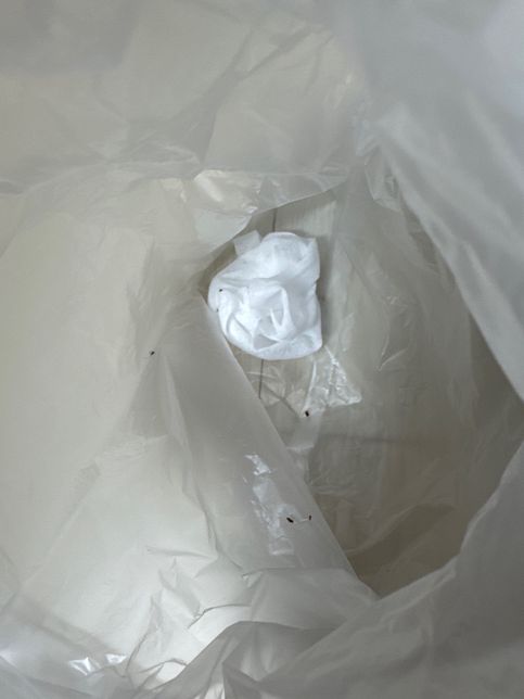 이 벌레 뭔지 아시나요 미칠꺼 같네요ㅠㅠ의 3번 째 이미지