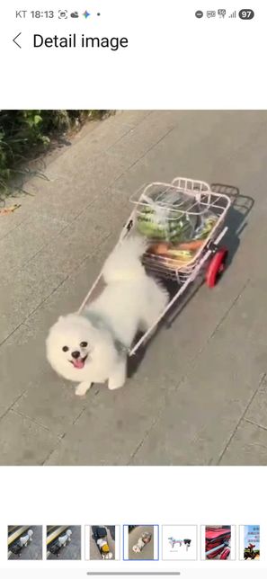 강아지가 하네스로 바퀴수레로 짐 끌기의 1번 째 이미지