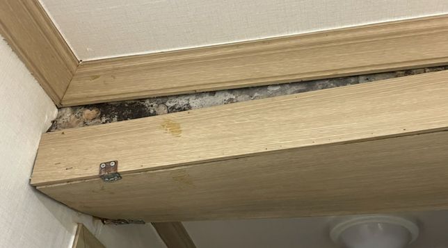 월세 곰팡이 제거 비용 책임 관련 질문드립니다의 1번 째 이미지