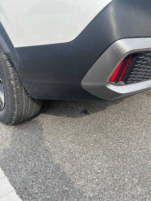 사진 보면 제가 차 긁거나 박은 자국 없은거죠?의 0번 째 이미지