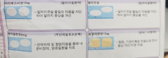 이증상때 이약 먹어도 되는건가요? ?의 0번 째 이미지