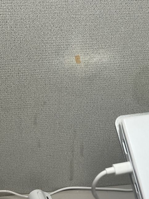 월세고요 벽에 양념이 묻어서 지우다가 벽지가 저렇게 되었는데 퇴실할 때 도배비용 요구할까요?의 0번 째 이미지